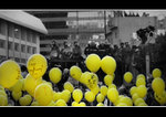 DSC_7915bint