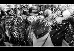 DSC_8068bint