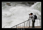 DSC_9518int