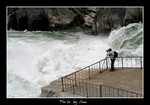 DSC_9519int