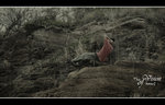 DSC_3221as