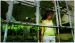 DSC_1950bint