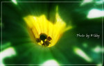 
photo by Kibby 2