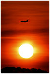 DSC_0065rint