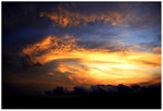 DSC_0122rint