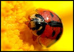 DSC_bi6380b