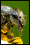 DSC_bi6419b