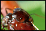 DSC_bp6349b