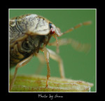 DSC_i0454b