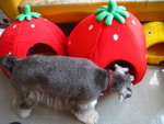 IMG_1679_resize