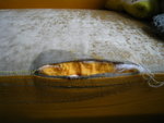 IMG_1711_resize