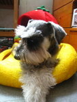 IMG_1725_resize