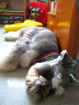 IMG_1727_resize