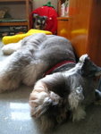 IMG_1728_resize