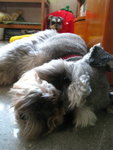 IMG_1729_resize