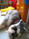 IMG_1730_resize