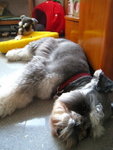 IMG_1735_resize