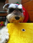 IMG_1736_resize