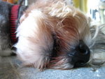 IMG_1737_resize