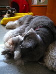 IMG_1740_resize