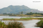 DSC_1805-copy