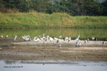 DSC_1866-copy