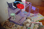 DSC09158