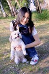 by WAI-2