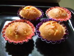 
Kiwi Muffin (���K�n)-1