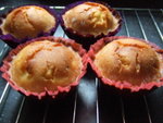 

Kiwi Muffin (�y�D)