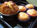 

��Muffin�I