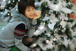 
Snow Tree~