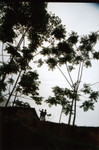 04-028