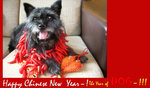 CNY 2006