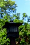 cl0803