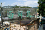 potoio05