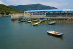 potoio28