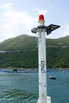 potoio31