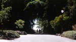 A path in my university

