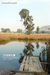 DSC_4658