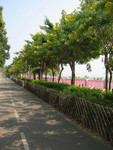 building04
