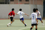 IMGP7295