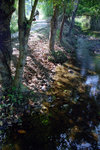 Untitled-10