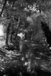 Untitled-11