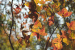 Untitled-2