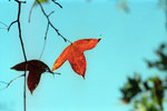 Untitled-3