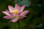 IMGP5022