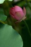 IMGP5048