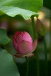 IMGP5055