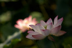 IMGP5059